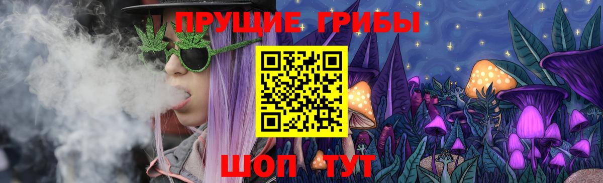 Псилоцибиновые грибы Cubensis Ирбит